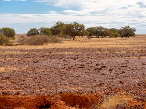 그림 3 호주 퀸즐랜드 주 다이아몬티나 국립공원의 기버 지대. 사진 작가: 데이비드 엘리엇 (2015년 7월 24일).