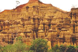 로스 프라이스, 오스피노