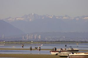 맑은 여름날 메이플 해변에서 북쪽을 바라본 모습
