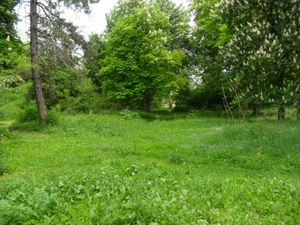 폴스키 세노베츠 공원