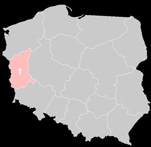 폴란드의 SARS-CoV-2 확진자 발생 현황 지도