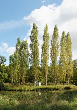 에르메농빌(Ermenonville)의 호수 섬인 일 드 포플리에(Île des Peupliers)에 있는 루소의 빈 묘