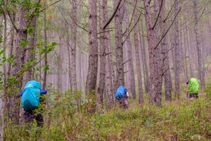 풀라그 산 아키키 트레일