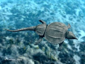 Psephoderma alpinum의 복원도