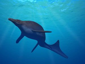 P. bennisoni의 복원도