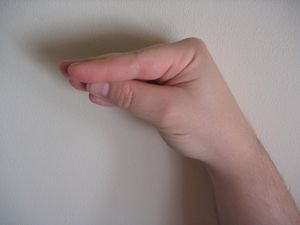 "사일런트 덕" 손 모양