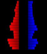 2000년 인구 조사 당시의 군의 인구 피라미드