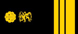 핀란드 해군 선임 중위의 어깨 끈