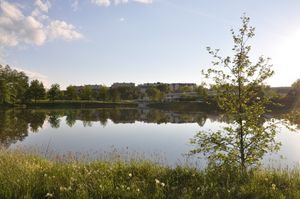 Cihlářský 연못 뒤에 있는 주택 단지