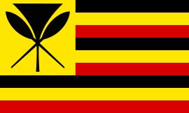 1993년 루이 아가드가 디자인한 유사한 깃발. 카나카 마올리 깃발이 공식적으로 알려지기 8년 전에 제안되었다.