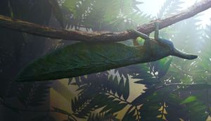 하이푸론텍터 복원도