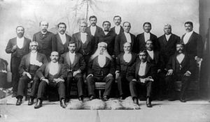 전복과 합병에 대한 반대에는 후이 알로하 아이나가 포함되었다.