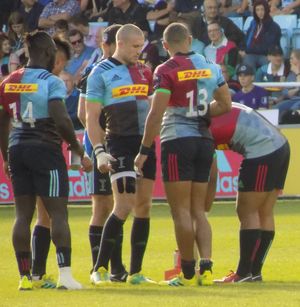 2018–19 시즌 중 활동하는 할리퀸스