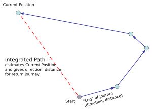 경로 적분은 시작 지점에서 이동한 거리와 방향의 벡터를 합산하여 현재 위치를 추정하고, 따라서 시작 지점으로 돌아가는 경로를 계산한다.