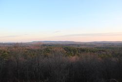 파인 산의 해리스 카운티 전경