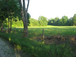 스완스 랜딩 부지