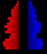 2000년 인구 조사 당시의 군의 인구 피라미드