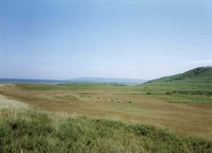 섬 북쪽에 있는 공유지. 풀밭에는 입석이 보이며, 배경에는 사크 섬이 놓여 있다.