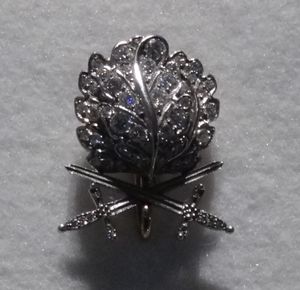 렌트의 참나무 잎, 검, 다이아몬드가 드레스덴의 연방군 군사사 박물관에 전시되어 있다.