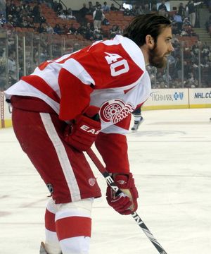 2010년 1월 피츠버그에서 레드윙스와 함께.