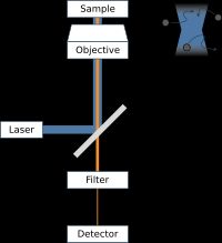 형광 상관 분광학 기기의 기본 다이어그램