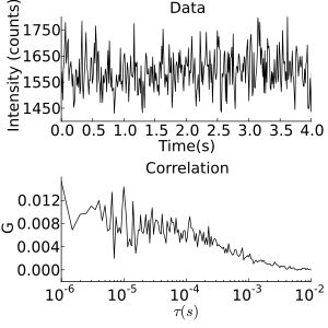 FCS 원시 데이터 및 상관 데이터