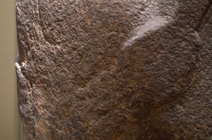 호아 하카나나이아의 손 부분에 가해진 훼손 흔적