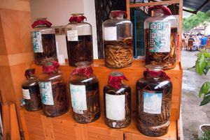 미얀마 샨 주 몽라에서 판매되는 호랑이 뼈 및 부품 추출물