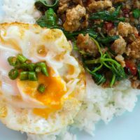 팟 카파오 무 – 돼지고기를 넣은 태국식 홀리 바질 볶음 요리