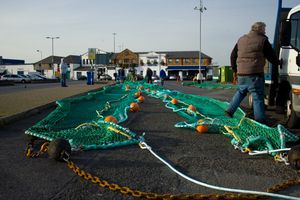 호스 항구의 어망과 어부들