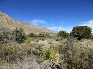 텍사스의 과달루페 산맥