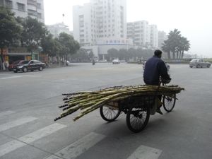 많은 농촌 출신 이주민들이 도시에서 노동자로 일자리를 찾고 있다.