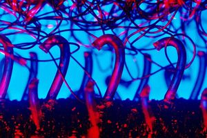 저배율 현미경으로 촬영한 후크 앤드 루프 패스너