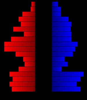 2000년 인구 조사 당시의 군의 인구 피라미드