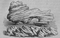 1863년 코일턴 또는 마녀의 흔들 바위