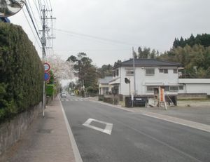 미야마 중심부를 통과하는 가고시마현도 24호 가고시마히가시이치키 선