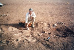 Bones being excavated by a person