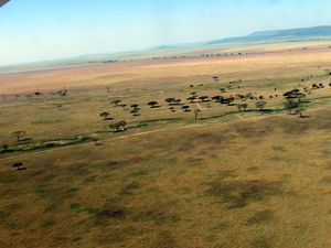 탄자니아 아루샤 지역.