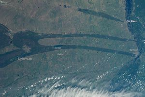 km}}가 조금 넘는 거리를 보여주며, 숲이 우거진 뾰족한 부분의 길이도 거의 그 정도이다. 바르나울은 오른쪽 중앙, 오비 강에 위치해 있다.