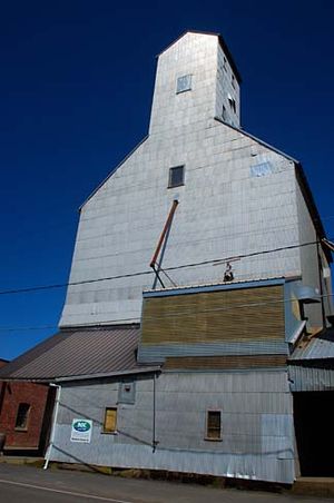 칼턴의 곡물 엘리베이터, 얌힐 카운티