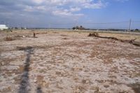 쓰나미 후 염해로 하얗게 변색된 논(미야기현)