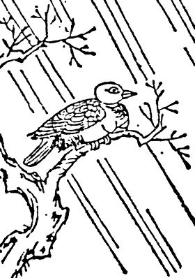 왜한삼재도회의 코카쿠초(姑獲鳥, 야행유녀)