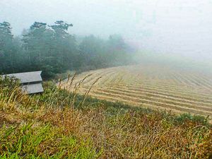 에비의 랜딩 국립 역사 보호 구역의 블러프 트레일에서