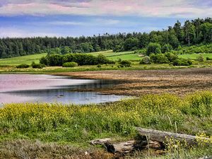 스완타운 호수를 가로지르는 동쪽 풍경