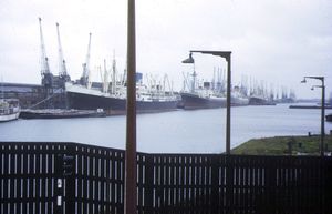 1973년의 로열 알버트 독. 선박 크기 증가와 컨테이너화로 인해 런던의 많은 독이 쇠퇴했다.