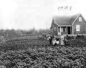 브리티시컬럼비아주 포트 해먼드에 있는 우조 나카노의 농가