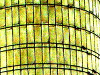 콘크리트 스테이브의 맞물림과 후프 가장자리 정렬을 보여주는 고대비 이미지