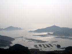 흑산도 일대의 김 양식장