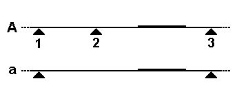 제한 부위 손실에 의한 RFLP 개략도