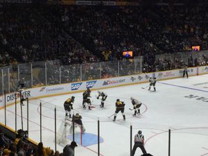 2016 내셔널 하키 리그 올스타전에서 퍼시픽 디비전의 골문을 지키는 퀵.